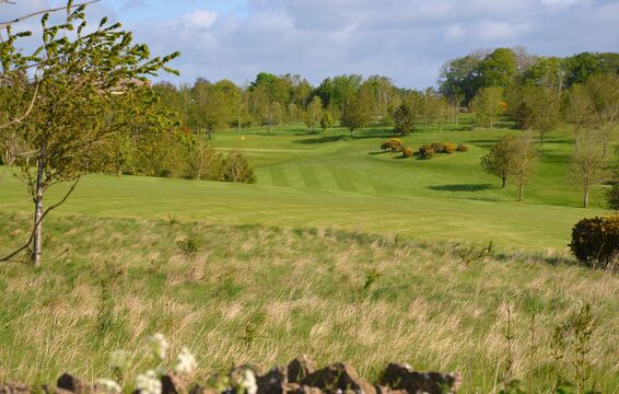 Naunton Downs - 8th Hole