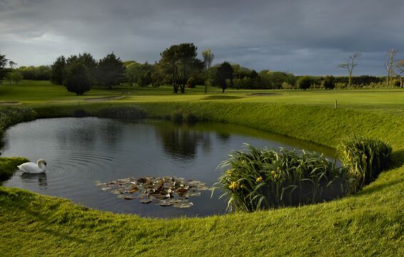 Tehidy Park - 17th Hole