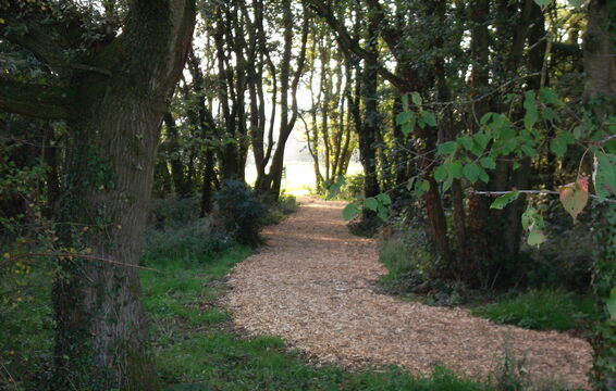 Lydney - Wooded Walk to 2nd Hole