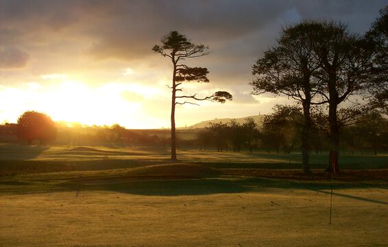 Tehidy Park - 16th Hole